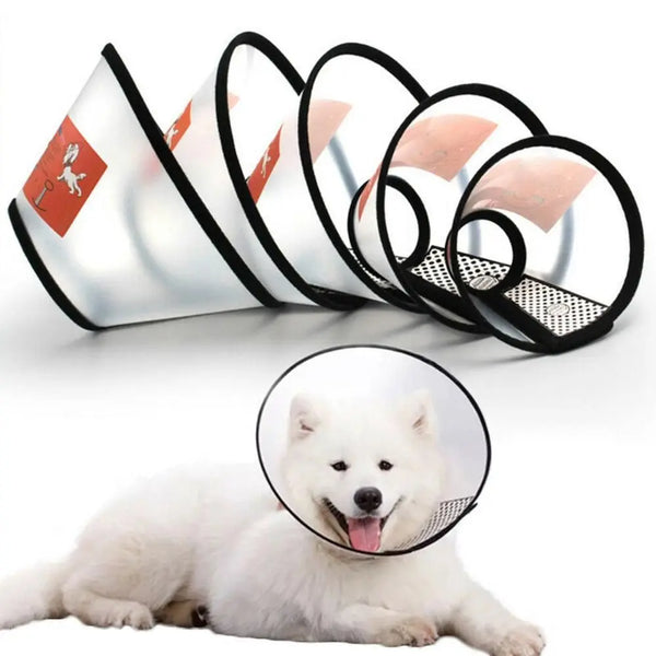 PawShield™ Recovery Collar