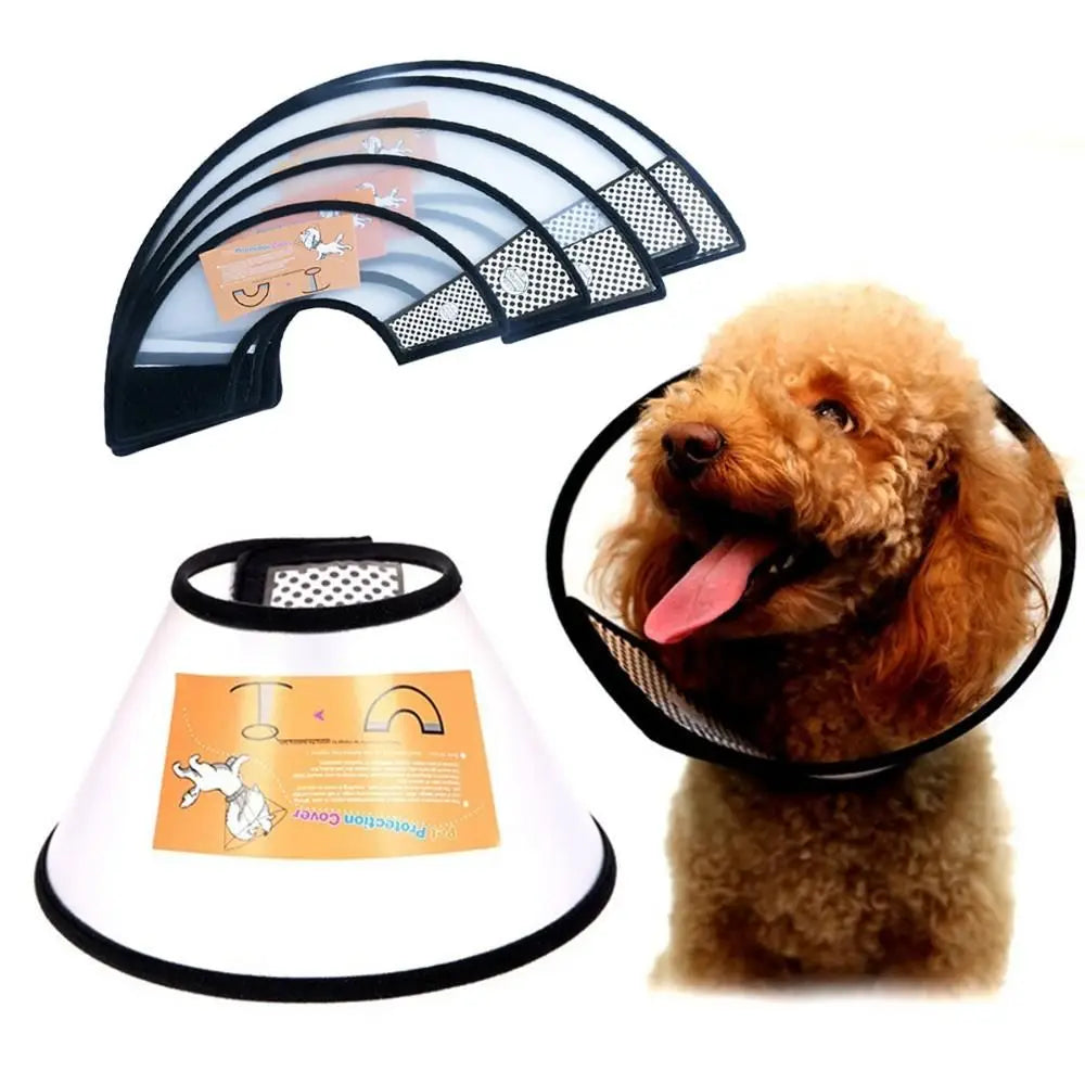 PawShield™ Recovery Collar