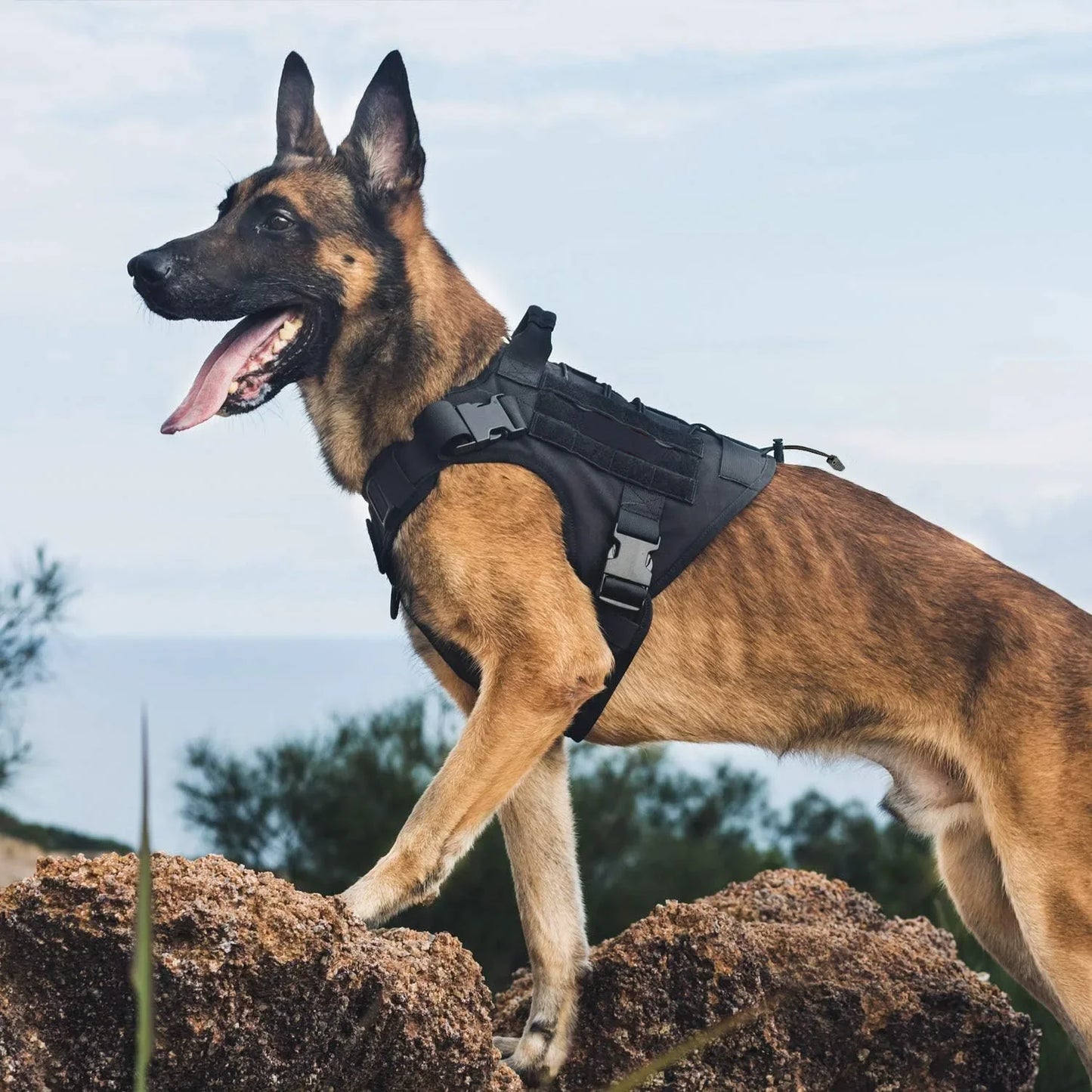 Heavy Duty Tactical Dog Harness | No-Pull Vest for Large Breeds